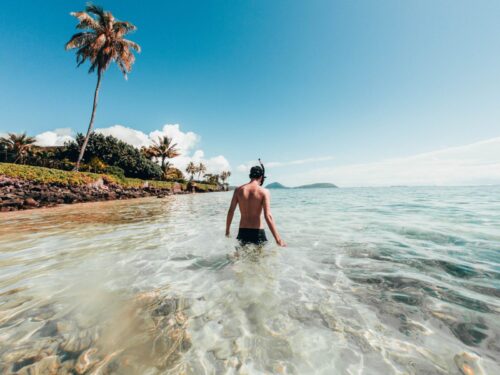 man walking on the shore near green coconut tree